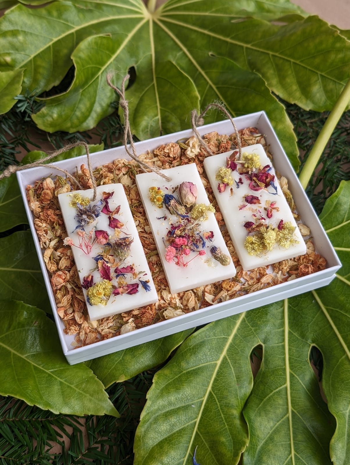 Rhubarb & Elderflower Soy Wax Air Fresheners Gift Box