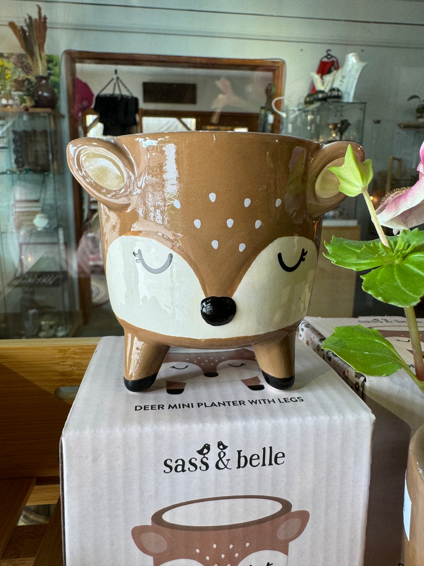 Cockapoo Or Deer Mini Planter - Boxed