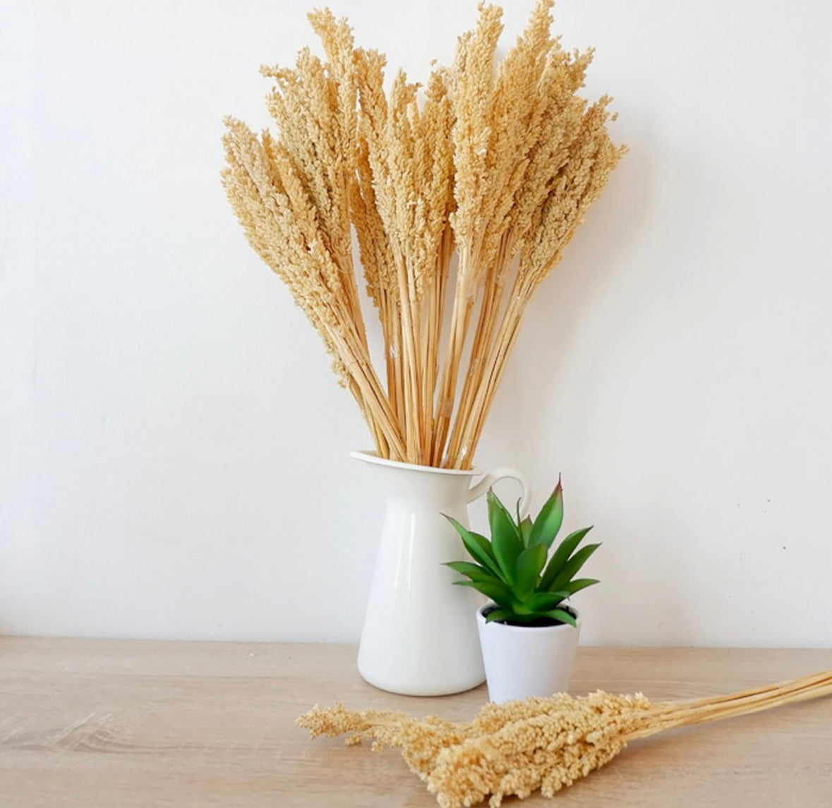 6x Cantal Grass Bunches - 7 Colours Available