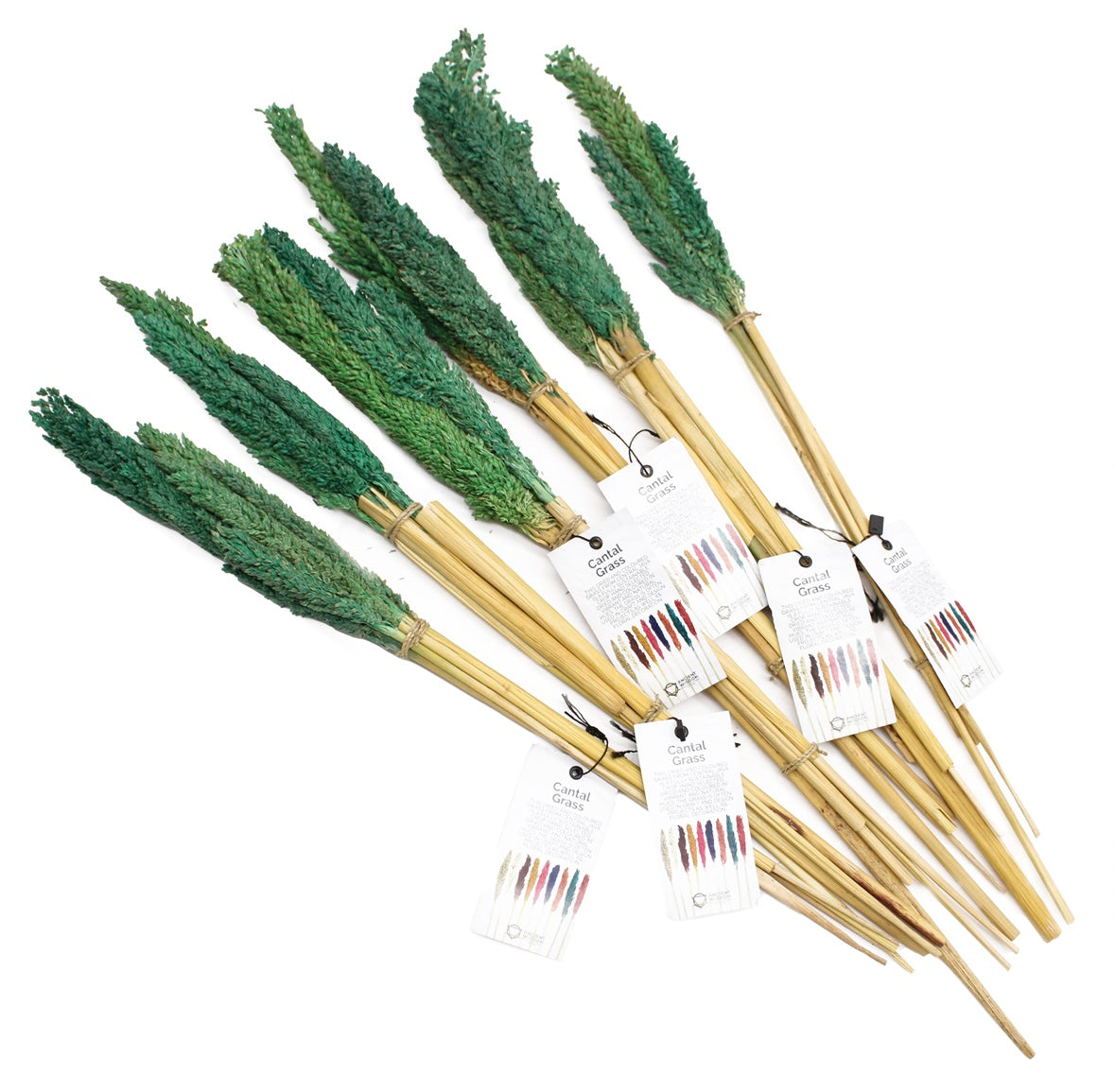 6x Cantal Grass Bunches - 7 Colours Available