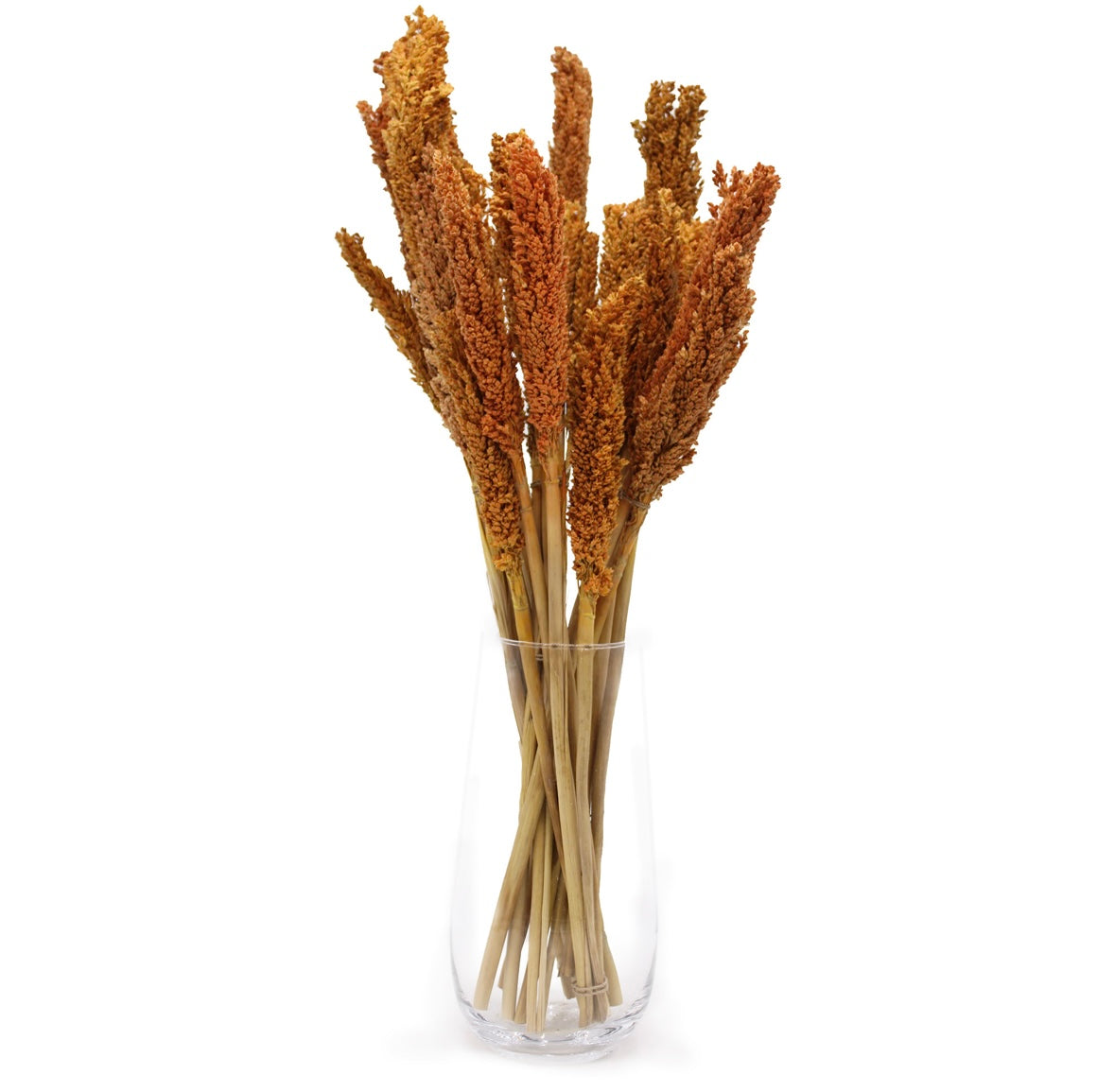 6x Cantal Grass Bunches - 7 Colours Available