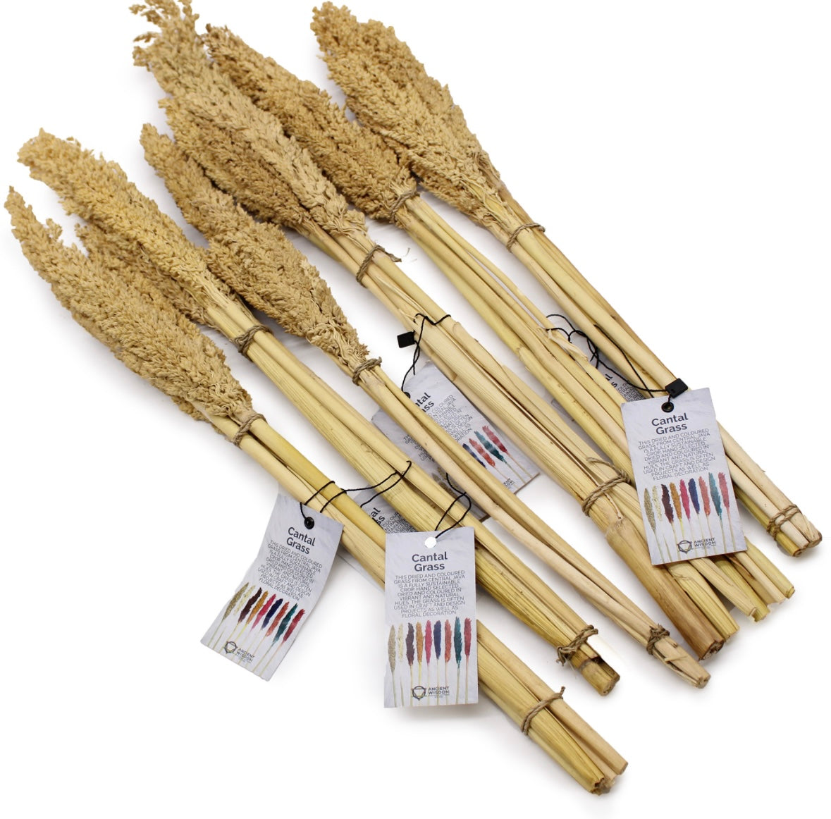 6x Cantal Grass Bunches - 7 Colours Available