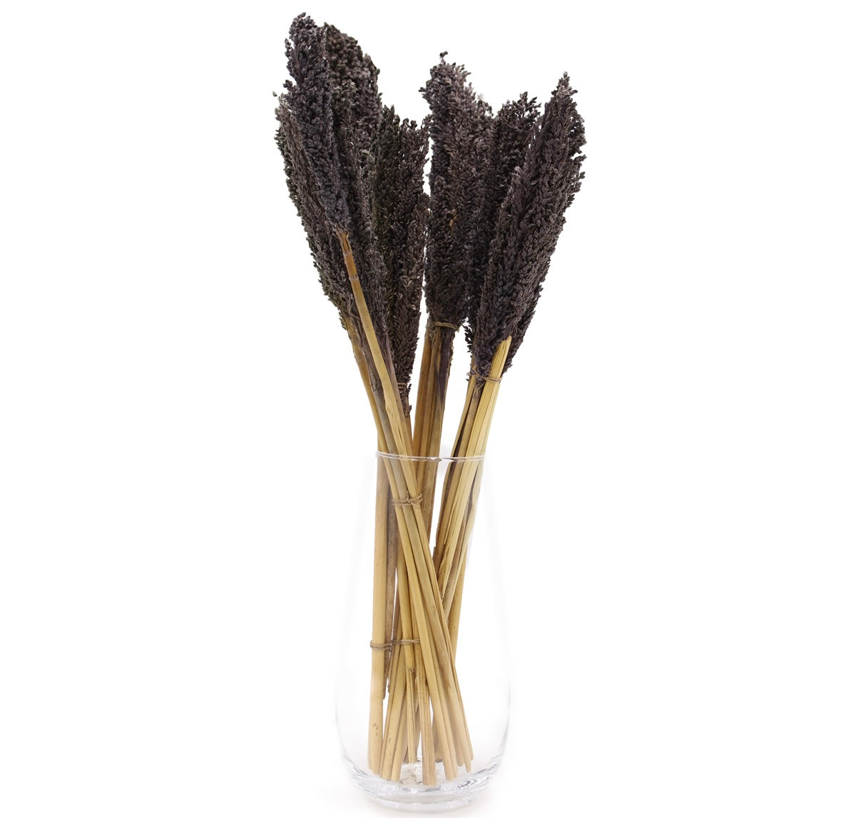 6x Cantal Grass Bunches - 7 Colours Available